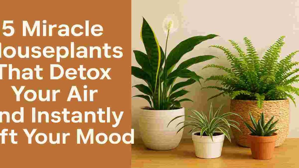Arrangement of five air-purifying mood-boosting houseplants, including a Snake Plant, Peace Lily, Spider Plant, Aloe Vera, and Boston Fern, placed on a wooden table next to bold text highlighting their detox and mood-enhancing benefits.