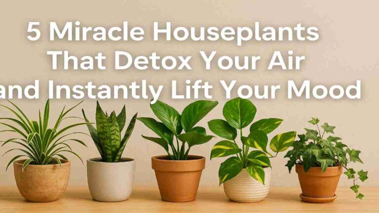 Digital photo of five air-purifying mood-boosting houseplants—Spider Plant, Snake Plant, Peace Lily, Pothos, and English Ivy—lined up in stylish pots on a wooden surface, with clean, modern text showcasing their wellness benefits.
