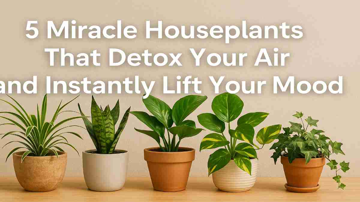 Digital photo of five air-purifying mood-boosting houseplants—Spider Plant, Snake Plant, Peace Lily, Pothos, and English Ivy—lined up in stylish pots on a wooden surface, with clean, modern text showcasing their wellness benefits.